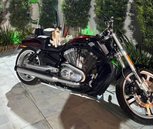 HARLEY-DAVIDSON V-ROD MUSCLE 