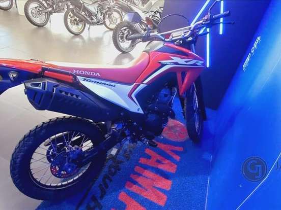 HONDA-XR 300L TORNADO HONDA-XR 300L TORNADO-2024