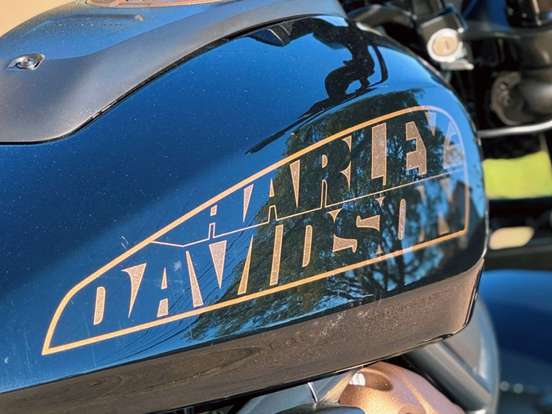HARLEY-DAVIDSON-SPORTSTER S HARLEY-DAVIDSON-SPORTSTER S-2024