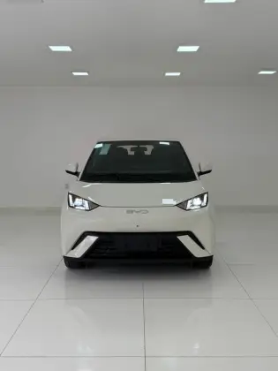 BYD DOLPHIN MINI 38 KW ELÉTRICO GS