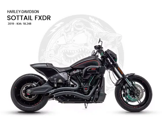 HARLEY-DAVIDSON SOFTAIL FXDR 114 
