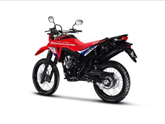 HONDA-XR 300L TORNADO HONDA-XR 300L TORNADO-2026