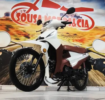 SHINERAY PHOENIX S 50 