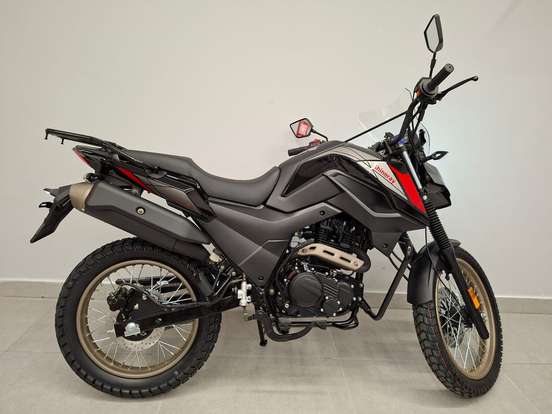 SHINERAY-SHI 175-2026