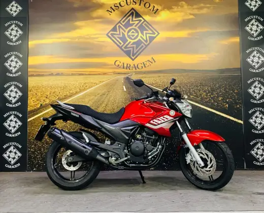 YAMAHA YS 250 FAZER BLUEFLEX YAMAHA YS 250 FAZER BLUEFLEX