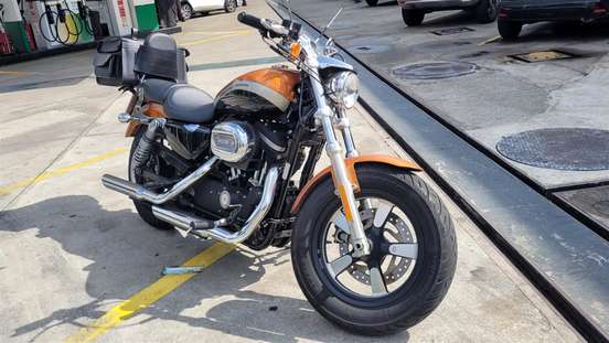 HARLEY-DAVIDSON-SPORTSTER 1200 CUSTOM CA LIMITED-2016