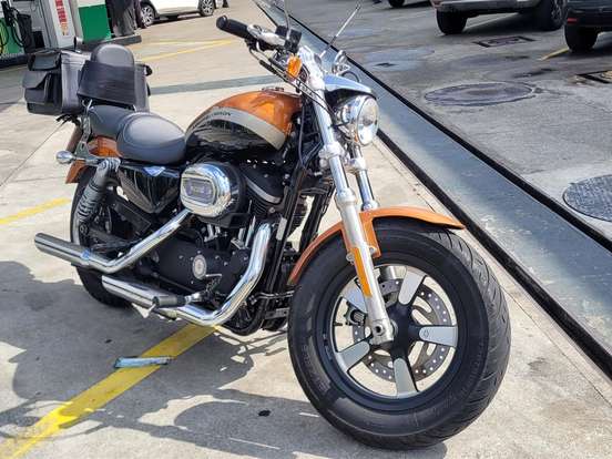 HARLEY-DAVIDSON-SPORTSTER 1200 CUSTOM CA LIMITED HARLEY-DAVIDSON-SPORTSTER 1200 CUSTOM CA LIMITED-2016