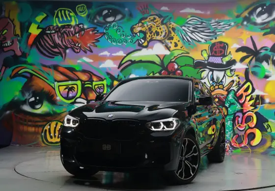BMW X4 3.0 TWINPOWER GASOLINA M COMPETITION STEPTRONIC BMW X4 3.0 TWINPOWER GASOLINA M COMPETITION STEPTRONIC