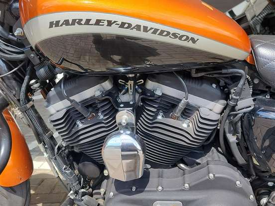 HARLEY-DAVIDSON-SPORTSTER 1200 CUSTOM CA LIMITED HARLEY-DAVIDSON-SPORTSTER 1200 CUSTOM CA LIMITED-2016