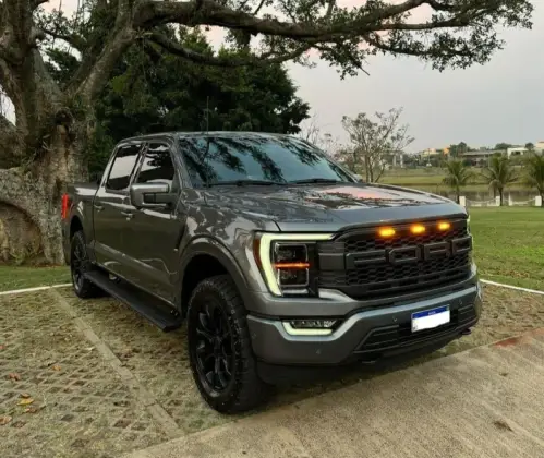 FORD F-150 5.0 V8 GASOLINA CD PLATINUM FX4 AUTOMÁTICO FORD F-150 5.0 V8 GASOLINA CD PLATINUM FX4 AUTOMÁTICO