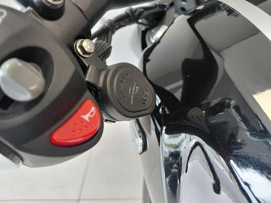 SHINERAY-TITANIUM 250-2026
