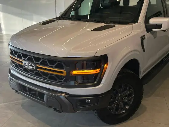 FORD F-150 5.0 V8 GASOLINA CD TREMOR FX4 AUTOMÁTICO