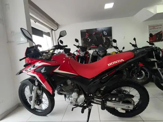 HONDA XRE 300 RALLY HONDA XRE 300 RALLY