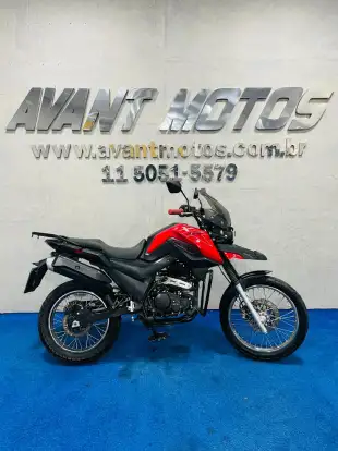 SHINERAY-SHI 175-2024