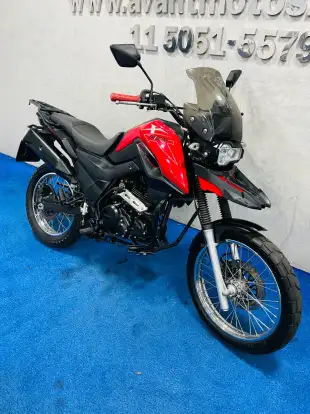 SHINERAY-SHI 175-2024