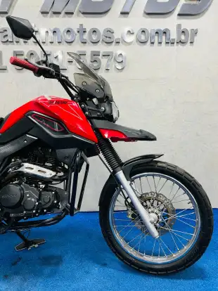 SHINERAY-SHI 175-2024