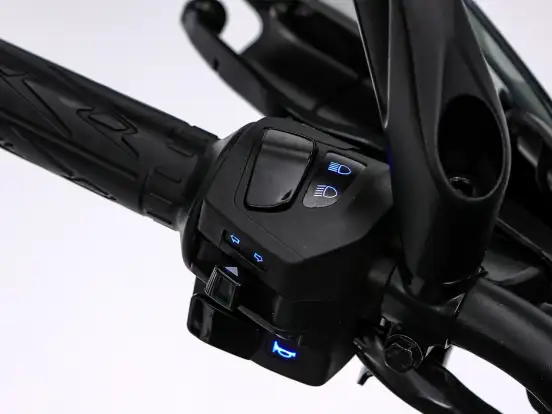 BAJAJ-DOMINAR 400 BAJAJ-DOMINAR 400-2025