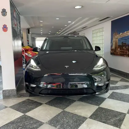 TESLA MODEL Y P100D PERFORMANCE AWD ELÉTRICO TESLA MODEL Y P100D PERFORMANCE AWD ELÉTRICO