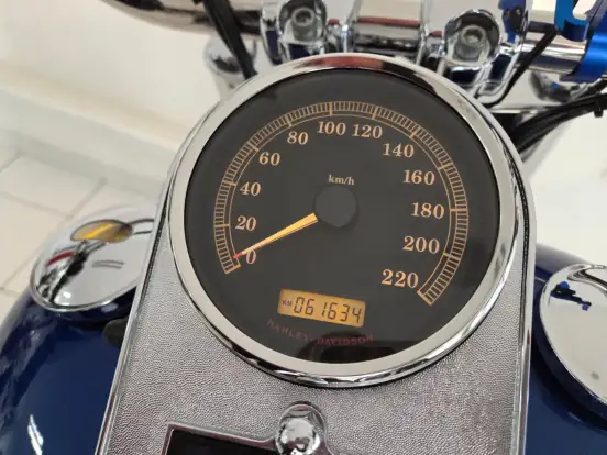 HARLEY-DAVIDSON-FAT BOY FLSTF-2010