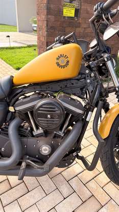 HARLEY-DAVIDSON-SPORTSTER IRON 883-2019
