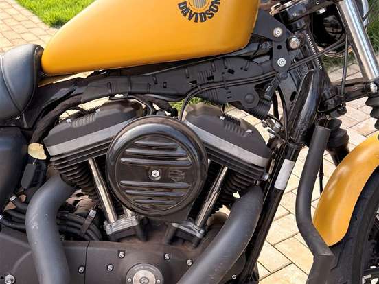 HARLEY-DAVIDSON-SPORTSTER IRON 883 HARLEY-DAVIDSON-SPORTSTER IRON 883-2019
