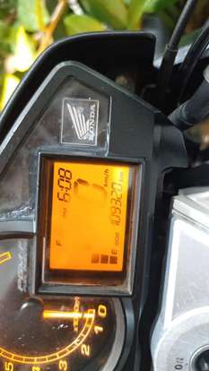 HONDA-CB 300R HONDA-CB 300R-2010