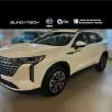 GWM HAVAL H6 1.5 PHEV35 AWD E-TRACTION GWM HAVAL H6 1.5 PHEV35 AWD E-TRACTION