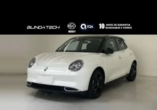 GWM ORA 03 58 KW ELÉTRICO BEV58 GWM ORA 03 58 KW ELÉTRICO BEV58