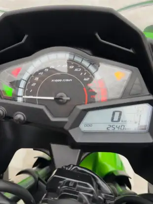 KAWASAKI-NINJA 300 KAWASAKI-NINJA 300-2024