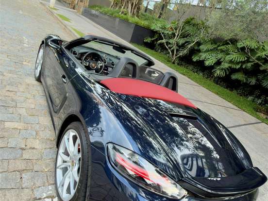 PORSCHE-718-2.0 16V H4 GASOLINA BOXSTER PDK PORSCHE-718-2019