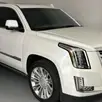 CADILLAC ESCALADE 6.2 V8 ECOTEC3 FLEXFUEL PLATINUM ESV 4WD AUTOMÁTICO CADILLAC ESCALADE 6.2 V8 ECOTEC3 FLEXFUEL PLATINUM ESV 4WD AUTOMÁTICO