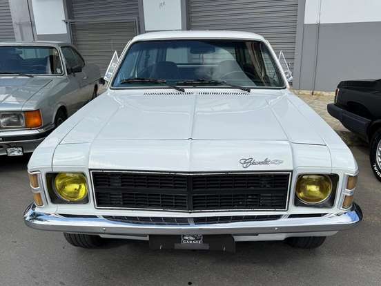 CHEVROLET-CARAVAN-4.1 L 12V GASOLINA 2P MANUAL CHEVROLET-CARAVAN-1979