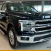 FORD F-150 5.0 V8 GASOLINA CD LARIAT FX4 AUTOMÁTICO FORD F-150 5.0 V8 GASOLINA CD LARIAT FX4 AUTOMÁTICO