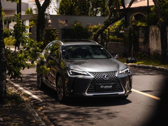 LEXUS UX 300h 2.0 VVT-I HYBRID CVT