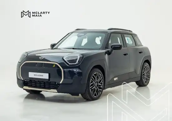 MINI-ACEMAN-2025