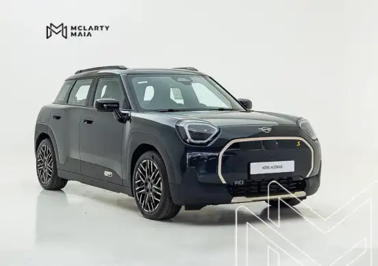 MINI-ACEMAN-2025