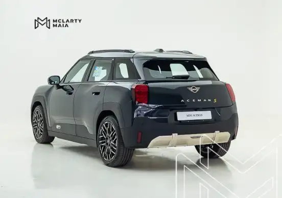 MINI-ACEMAN-2025