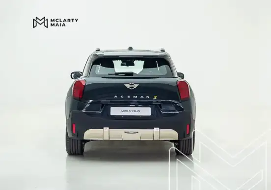 MINI-ACEMAN-2025