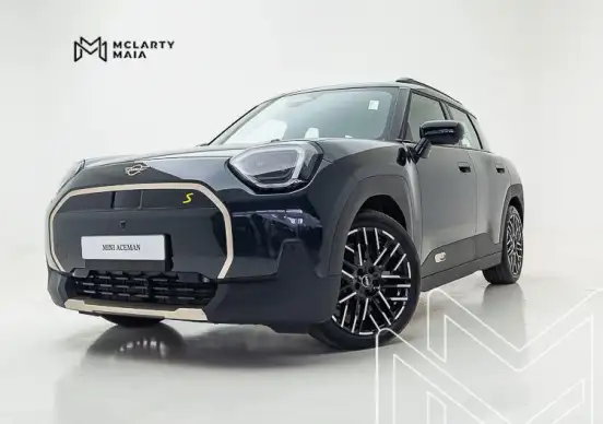 MINI-ACEMAN-2025