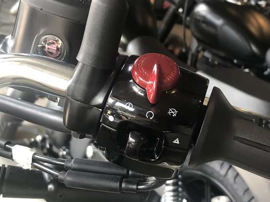ROYAL ENFIELD-BEAR 650-2026