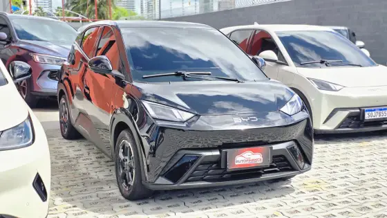 BYD DOLPHIN MINI 38 KW ELÉTRICO 5L