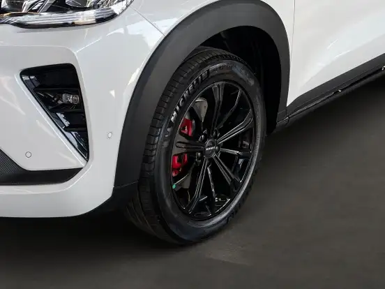 GWM-HAVAL H6 GT-1.5 PHEV AWD E-TRACTION GWM-HAVAL H6 GT-2025