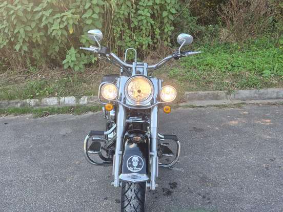 HARLEY-DAVIDSON-SOFTAIL DELUXE HARLEY-DAVIDSON-SOFTAIL DELUXE-2008