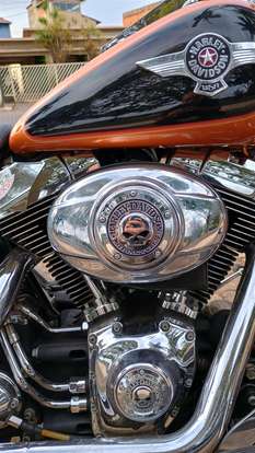 HARLEY-DAVIDSON-SOFTAIL FAT BOY-2015