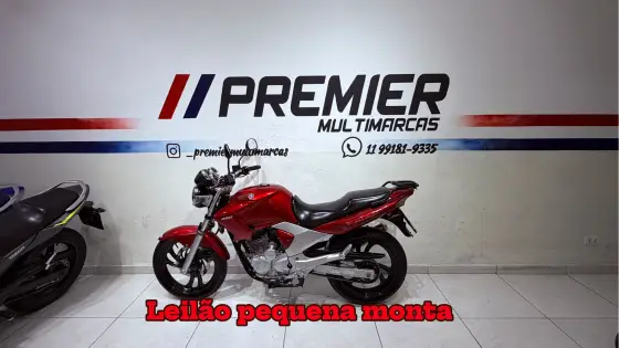 YAMAHA YS 250 FAZER 