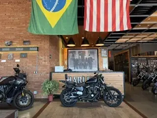 HARLEY-DAVIDSON SPORTSTER IRON 883 