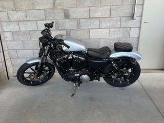 HARLEY-DAVIDSON-SPORTSTER IRON 883-2020