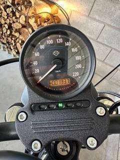 HARLEY-DAVIDSON-SPORTSTER IRON 883-2020
