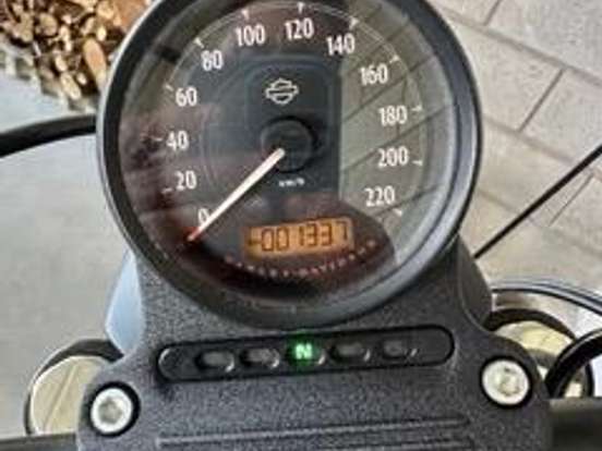 HARLEY-DAVIDSON-SPORTSTER IRON 883 HARLEY-DAVIDSON-SPORTSTER IRON 883-2020