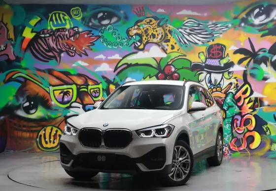BMW X1 2.0 16V TURBO ACTIVEFLEX SDRIVE20I 4P AUTOMÁTICO